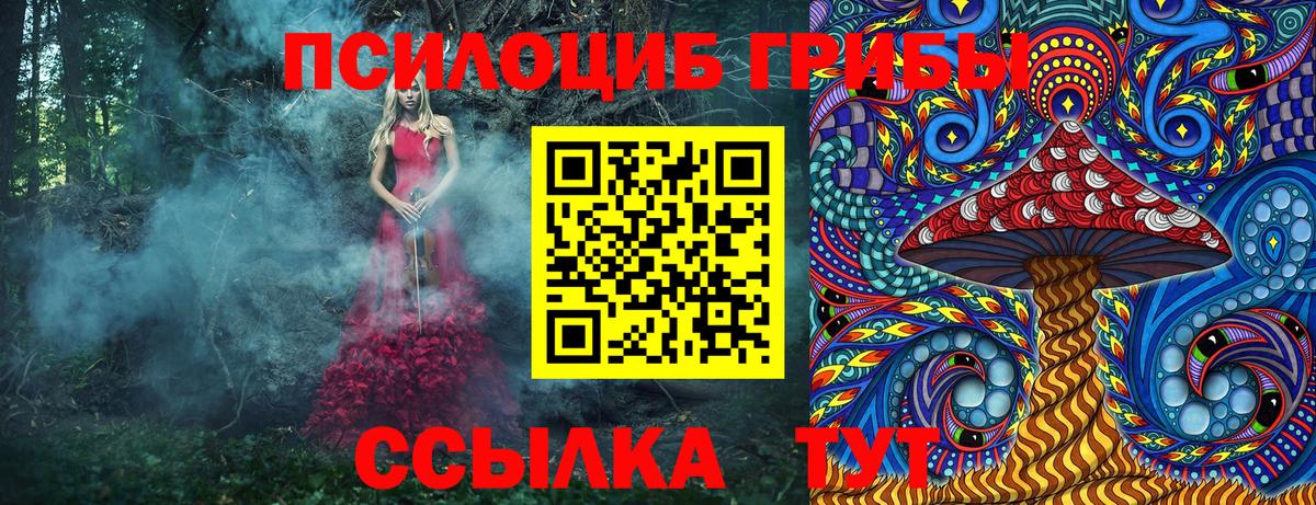 Псилоцибиновые грибы мухоморы Нижнеудинск
